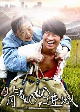 背着奶奶进城(全集)